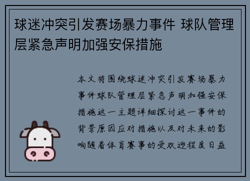 球迷冲突引发赛场暴力事件 球队管理层紧急声明加强安保措施